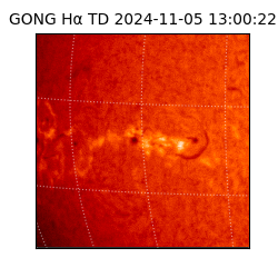 gong - 2024-11-05T13:00:22