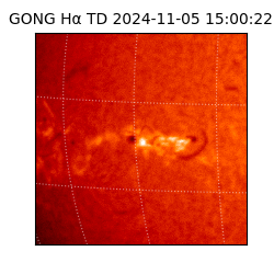 gong - 2024-11-05T15:00:22