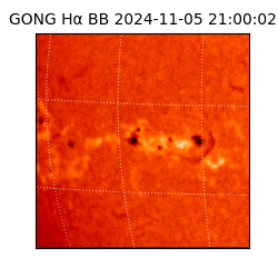 gong - 2024-11-05T21:00:02