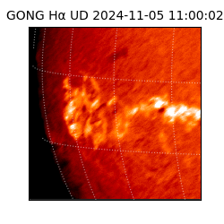 gong - 2024-11-05T11:00:02