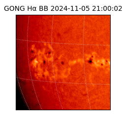 gong - 2024-11-05T21:00:02