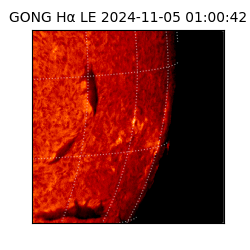 gong - 2024-11-05T01:00:42
