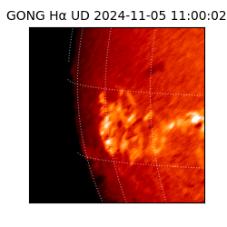 gong - 2024-11-05T11:00:02