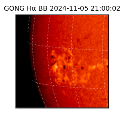 gong - 2024-11-05T21:00:02