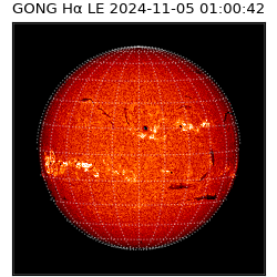 gong - 2024-11-05T01:00:42