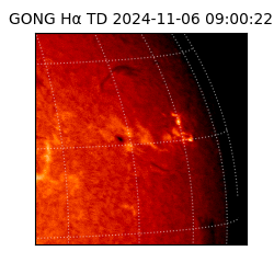 gong - 2024-11-06T09:00:22