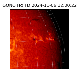gong - 2024-11-06T12:00:22