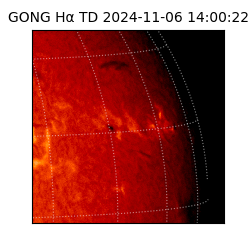 gong - 2024-11-06T14:00:22