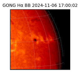 gong - 2024-11-06T17:00:02