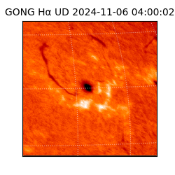 gong - 2024-11-06T04:00:02