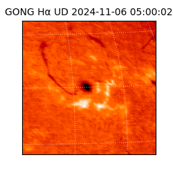 gong - 2024-11-06T05:00:02