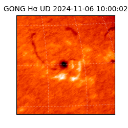 gong - 2024-11-06T10:00:02