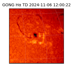 gong - 2024-11-06T12:00:22