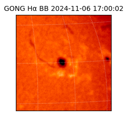 gong - 2024-11-06T17:00:02