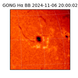 gong - 2024-11-06T20:00:02