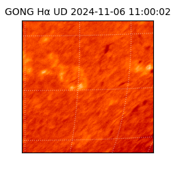 gong - 2024-11-06T11:00:02