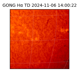 gong - 2024-11-06T14:00:22