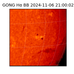 gong - 2024-11-06T21:00:02