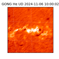 gong - 2024-11-06T10:00:02