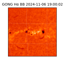 gong - 2024-11-06T19:00:02