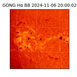 gong - 2024-11-06T20:00:02