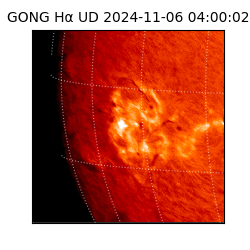 gong - 2024-11-06T04:00:02