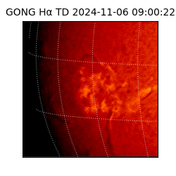 gong - 2024-11-06T09:00:22