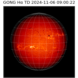 gong - 2024-11-06T09:00:22