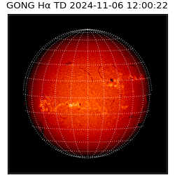 gong - 2024-11-06T12:00:22
