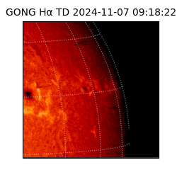 gong - 2024-11-07T09:18:22