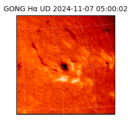 gong - 2024-11-07T05:00:02