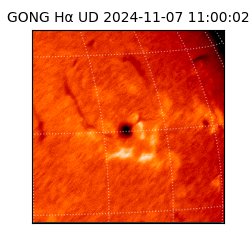 gong - 2024-11-07T11:00:02