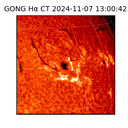 gong - 2024-11-07T13:00:42