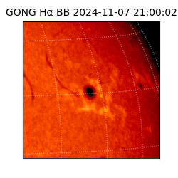 gong - 2024-11-07T21:00:02