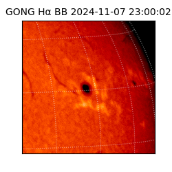 gong - 2024-11-07T23:00:02