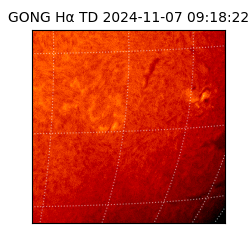 gong - 2024-11-07T09:18:22