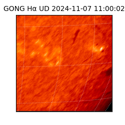 gong - 2024-11-07T11:00:02