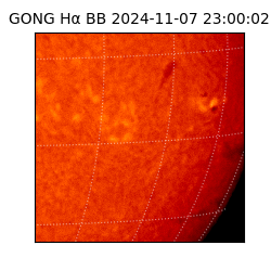 gong - 2024-11-07T23:00:02