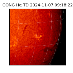 gong - 2024-11-07T09:18:22