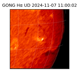 gong - 2024-11-07T11:00:02