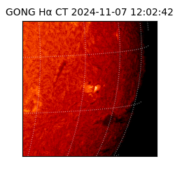 gong - 2024-11-07T12:02:42