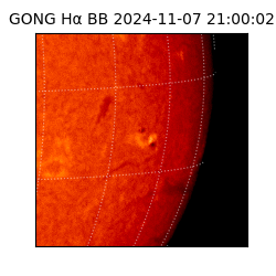 gong - 2024-11-07T21:00:02