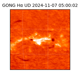 gong - 2024-11-07T05:00:02