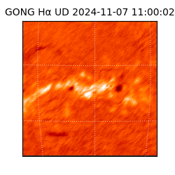 gong - 2024-11-07T11:00:02