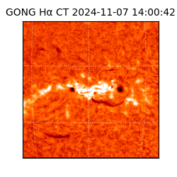 gong - 2024-11-07T14:00:42