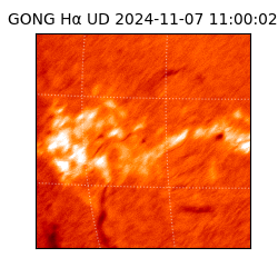 gong - 2024-11-07T11:00:02