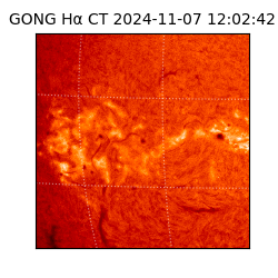 gong - 2024-11-07T12:02:42