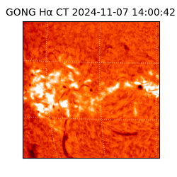 gong - 2024-11-07T14:00:42