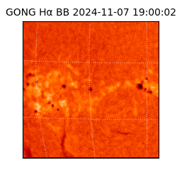 gong - 2024-11-07T19:00:02