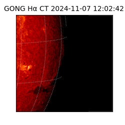 gong - 2024-11-07T12:02:42